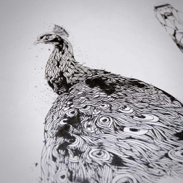 Peacock - Doodle Artwork