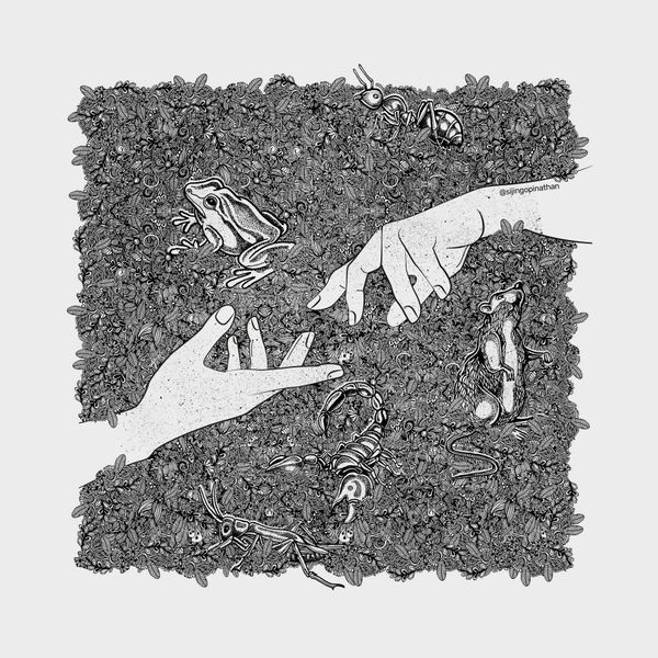 Lost Dimensionality - Mural Artwork