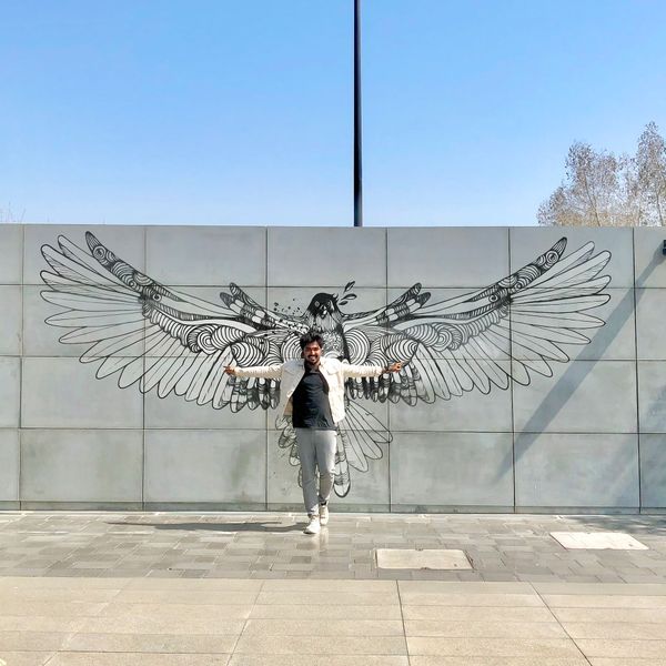Falcon - Doodle Art Concept on Wall